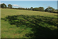 Grass field, Sharnica