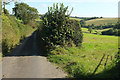 Lane to Lotherton Bridge