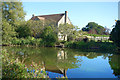 Reflection in the Pond