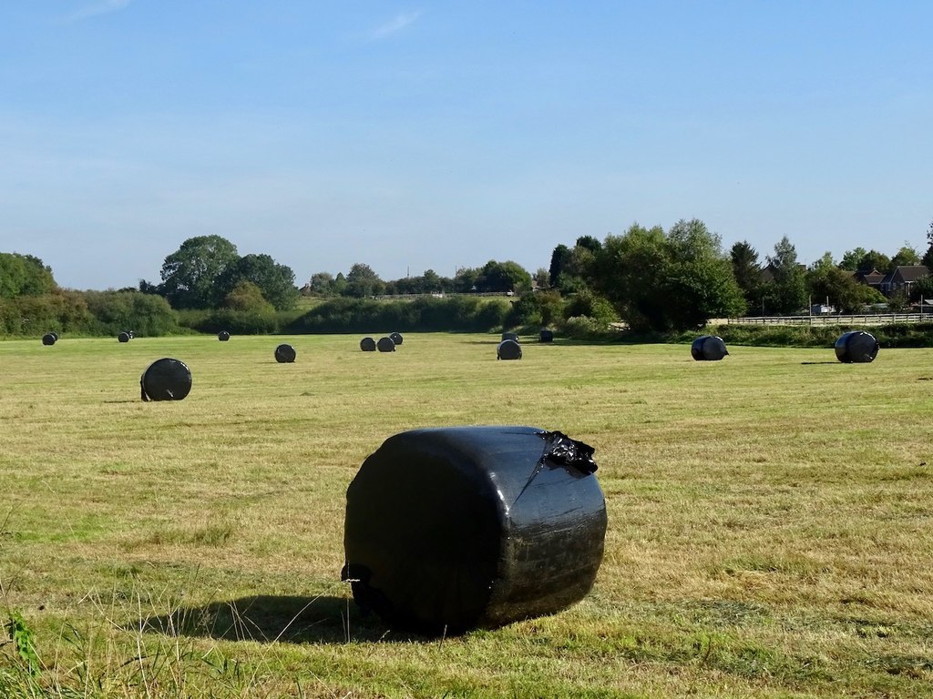 Wrapped hay bales by Longhedge Lane © Ian Calderwood cc-by-sa/2.0