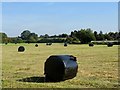 SK2226 : Wrapped hay bales by Longhedge Lane by Ian Calderwood
