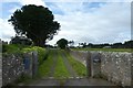 NU0935 : Lindisfarne View by DS Pugh