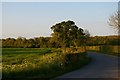 Lane northwards off the B1119 Rendham Road