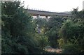 The Ware Viaduct