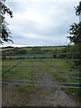 View through a farm gate at Walwyn