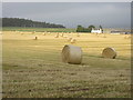 NO3545 : Bales at Murleywell by Scott Cormie