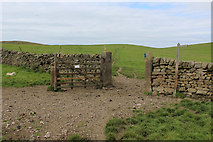 SE0655 : On the Bridleway between Bolton Abbey and Halton Heights by Chris Heaton