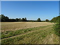 Stubble field, Old Marston