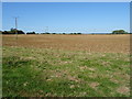 ST8562 : Farmland near Holt by Philip Halling