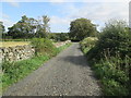 Track  to  Sharplaw  Road  from  Lanton  Moor