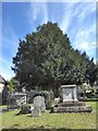 St Andrew, Halstead: churchyard (b)