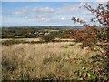 Derelict fields