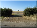 Field entrance off Hogshaw Road