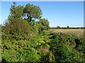 The Claydon Brook