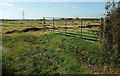 SX6153 : Mown grass field, Ley Green by Derek Harper