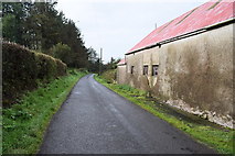 H5164 : Farm  buildings along Legacurry Road by Kenneth  Allen