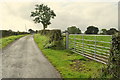 Legacurry Road, Killadroy