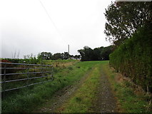 W5789 : Field entrance at Ballyknockane Cross Roads by Jonathan Thacker