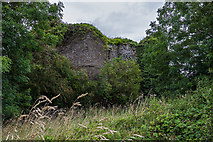 R5006 : Castles of Munster: Kilmaclenine Fortified House, Cork (1) by Mike Searle