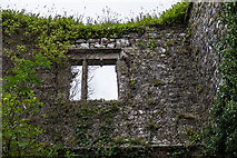 R5006 : Castles of Munster: Kilmaclenine Fortified House, Cork (2) by Mike Searle