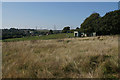 Fields and paddocks above Boney Hay