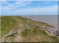 TM4350 : Suffolk Coast Path along the River Ore by Mat Fascione