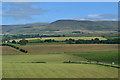 NY6918 : Fields above the River Eden opposite Great Ormside by David Martin