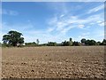 Farmland behind  Little Maplestead church