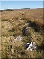 SX6482 : The Remains of the Birch Tor and Vitifer Leat by Chris Andrews