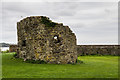 S7010 : Castles of Munster: Passage East, Waterford (1) by Mike Searle