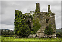 R0509 : Castles of Munster: Kilmurry, Kerry - revisited (1) by Mike Searle