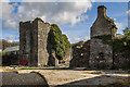 S7217 : Castles of Leinster: Ballykeerogemore, Wexford (1) by Mike Searle