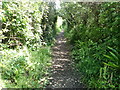 Wales Coast Path