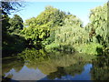 Reflections in the River Gade