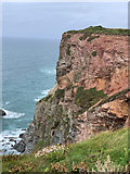 SW7252 : Cliffs near Cross Coombe by John Allan