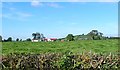 Houses along the Blaney Road