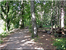 NT2170 : Water of Leith Walkway by Robin Webster