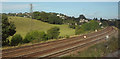 SX8770 : Field by the railway line, Newton Abbot by Derek Harper