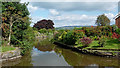 Canalside garden by Marple Locks, Stockport