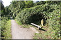 SK8833 : Footpath on north side of the Grantham Canal by Roger Templeman