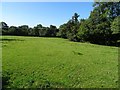 Field above Ledwyche Brook