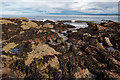 NH7458 : Seaweed and rocks, Rosemarkie by Julian Paren