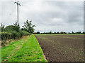 Field on north side of A59