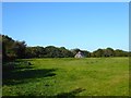 House Meadow