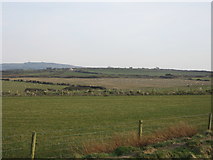 SH1934 : Fields near Porth Colmon farm by David Medcalf