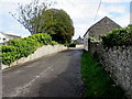 Hedges, trees and a grass strip, Boverton Road, Boverton