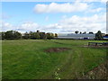 Grazing near Twyford Wharf