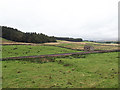 Low Laithe near Rylstone