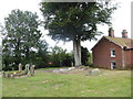 St Andrew, Colne Engaine: churchyard (c)