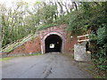 Tunnel beneath the railway, Spittal